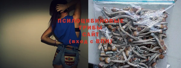 гашик Пересвет