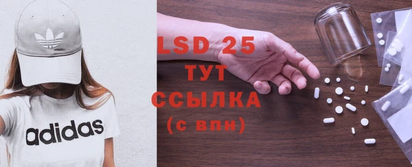 гашик Пересвет