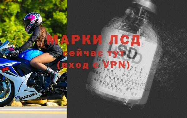 гашик Пересвет