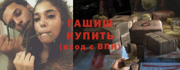 гашик Пересвет