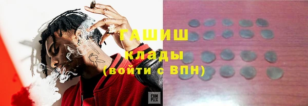 гашик Пересвет