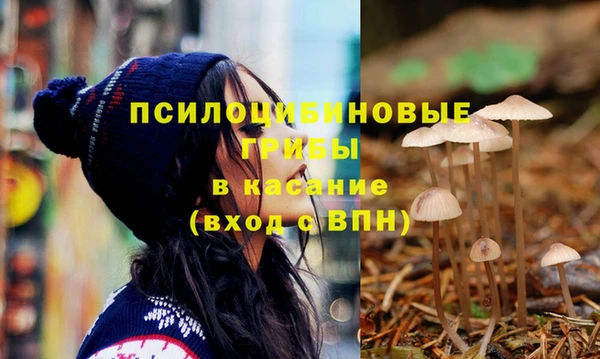 гашик Пересвет