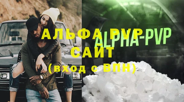 гашик Пересвет