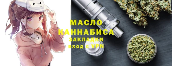 гашик Пересвет