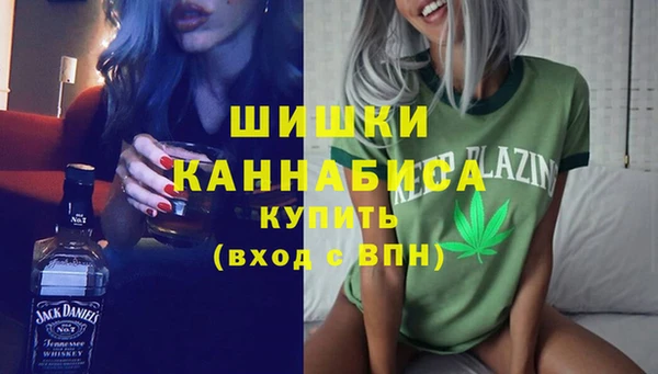 гашик Пересвет