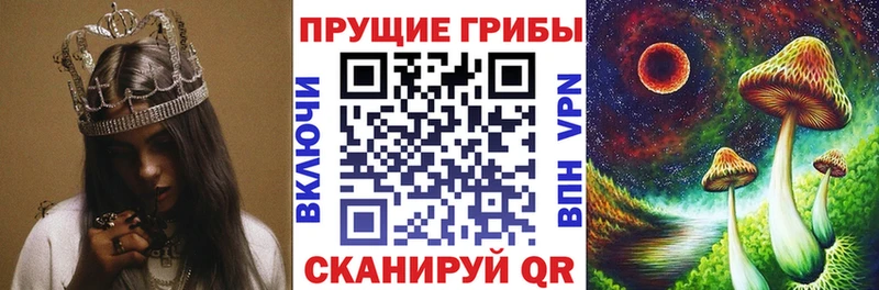Псилоцибиновые грибы Psilocybine cubensis  Купить где  Сокол 