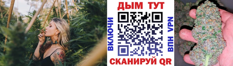 Каннабис THC 21%  Купить где  Сокол 